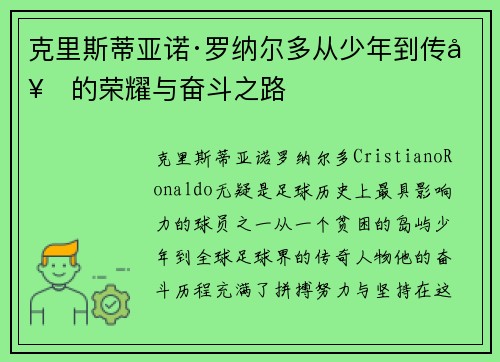 克里斯蒂亚诺·罗纳尔多从少年到传奇的荣耀与奋斗之路 克里斯蒂亚诺·罗纳尔多从少年到传奇的荣耀与奋斗之路